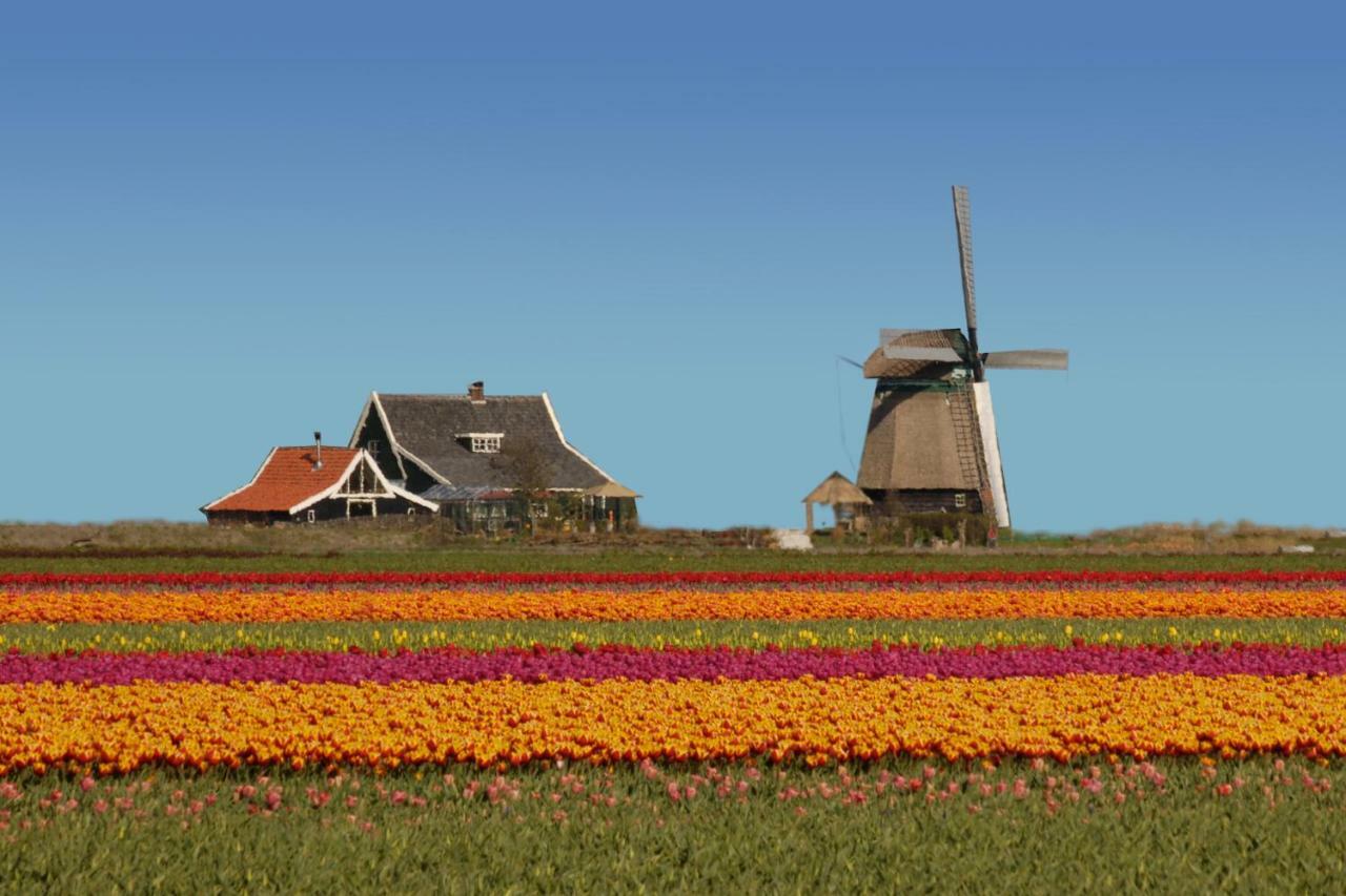 Het Dobbertje, Charmant Houten Huisje Sint Maartensvlotbrug Екстериор снимка